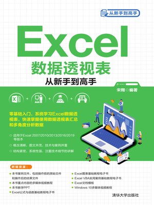 cover image of Excel数据透视表从新手到高手